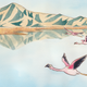 An illustration of the Andean flamingo whose home is at risk from climate change. Image Courtesy of Megan Herbert